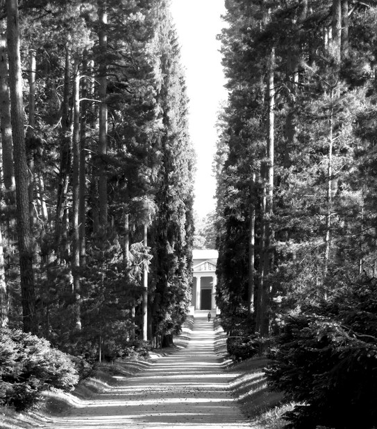 Blick in einen schmalen Gang zwischen hohen Bäumen auf dem Friedhof Skogskyrkogården in Stockholm