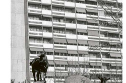 Foto eines Hochhauses mit Ziegen davor aus der Zeitschrift 'Die Architekt' Nr. 2 aus 2023